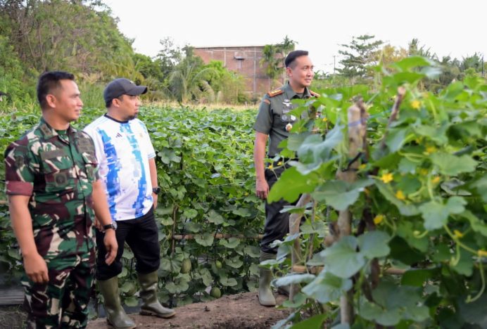 Pj Bupati Aceh Besar Tinjau Kebun Jagung dan Melon Yonif Raider 112/DJ