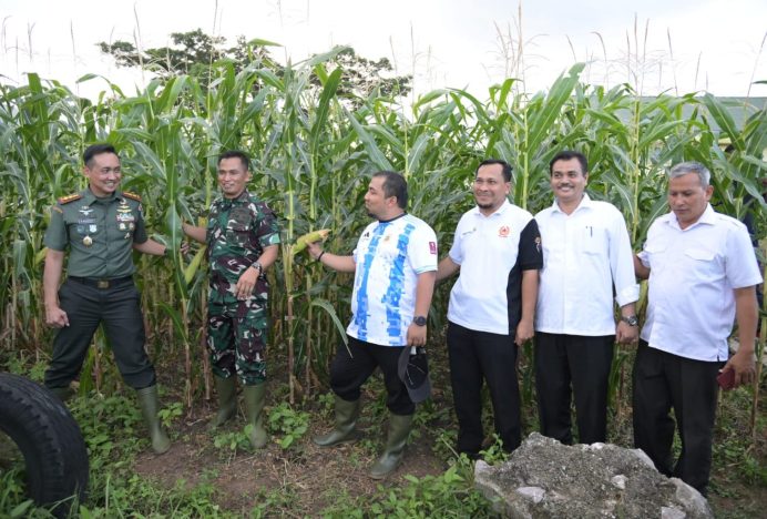 Dandim 0101/KBA dan Pj Bupati Aceh Besar Tinjau Kebun Jagung Yonif Reider 112/DJ