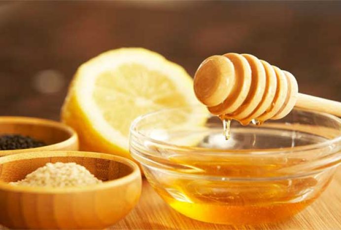 Anak yang Sehat dan Fokus: Menu Makanan Sehat untuk Meningkatkan Konsentrasi dan Daya Ingat