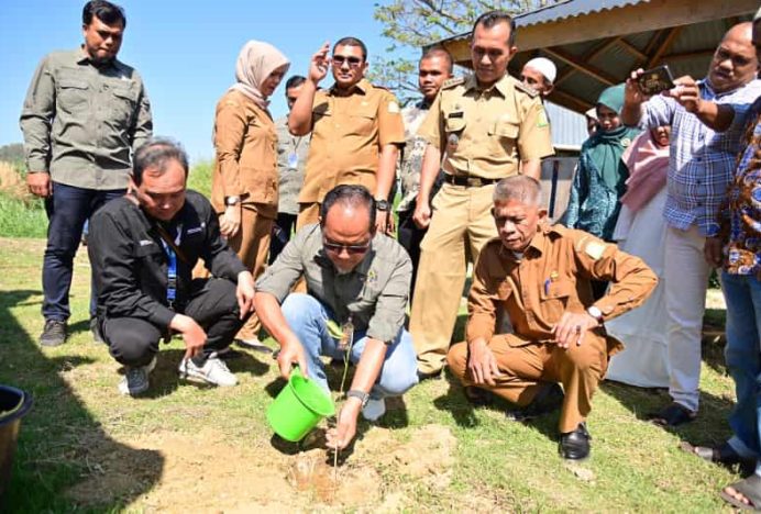 Pemkab Aceh Besar dan Angkasa Pura II Tanami Tabebuya di Gampong Wisata Nusa Lhoknga