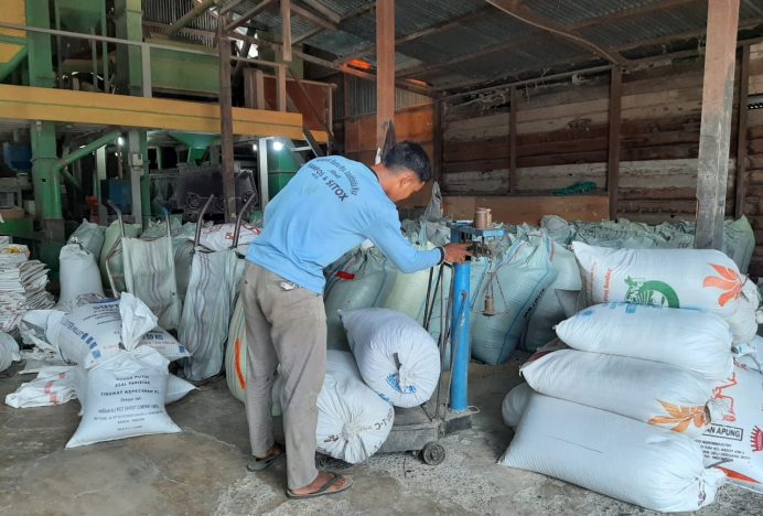 Harga Gabah di Aceh Besar Capai Rp 6.500/ Kg