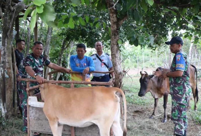 Binpotdirga Lanud SIM Komsos dengan Peternak Sapi Binaan