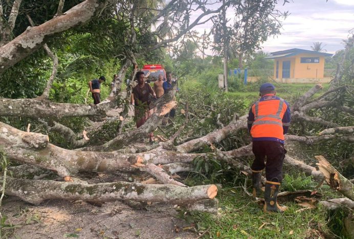 Hujan Deras dan Angin Kencang Sebabkan Pohon Tumbang di Aceh Besar