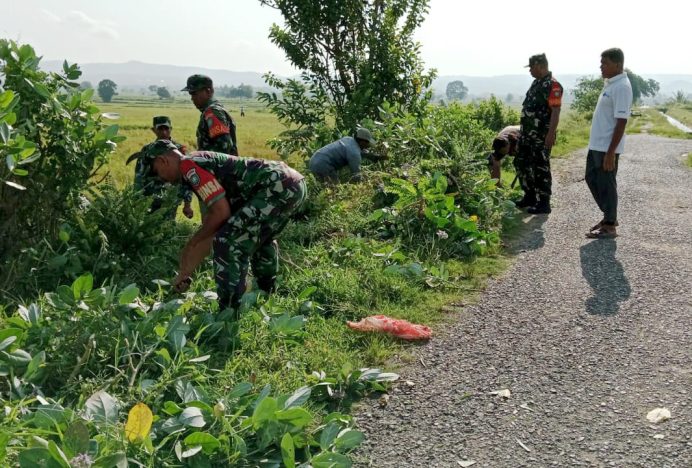 Jelang Musim Tanam, Anggota Koramil 12/Montasik Kodim 0101/KBA Bersama Masyarakat Bersihkan Saluran Irigasi