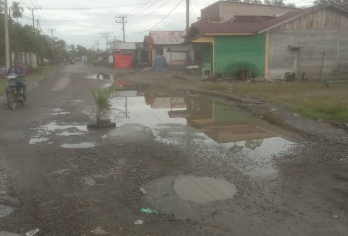 Ruas Jalan Langkak-Bandara Cut Nyak Dhien Akhirnya Ditanami Tunas Pohon Kelapa