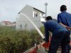Antisipasi Kebakaran, Kadis PKP Kota Banda Aceh Minta Warga Tak Bakar Sampah Sembarangan