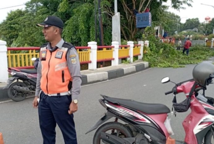 Dinas Perhubungan Kota Banda Aceh Lakukan Pengamanan Saat Proses Pemangkasan Dahan