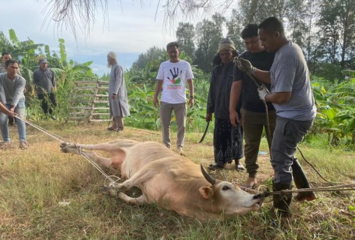 Gampong Lueng Bata Banda Aceh Sembelih 41 Ekor Hewan Kurban