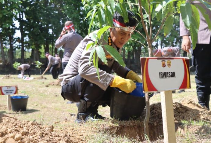 Peringati Hari Bhayangkara, Polda Aceh Tanam Seribu Pohon dan Bagikan Bibit Jagung