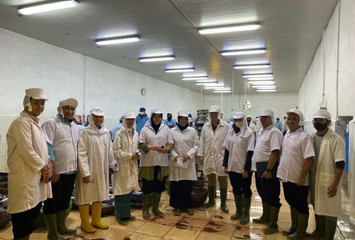 Kementerian Kelautan dan Perikanan bersama DPMPTSP Tinjau Perkembangan Investasi di Banda Aceh