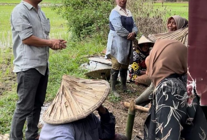 Wakil Ketua DPRK Dorong Pemkab Aceh Besar Terus Kembangkan Sektor Pertanian