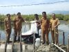 Camat Meuraxa Lepas Bibit Udang Vename di Blang Oi