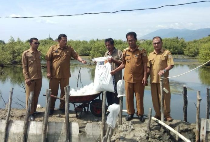 Camat Meuraxa Lepas Bibit Udang Vename di Blang Oi