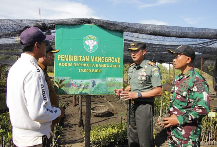 Dandim 0101/KBA Tinjau Penyemaian dan Pembibitan Mangrove di Lampulo