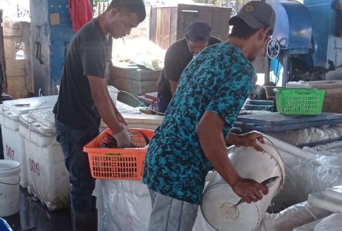 Cuaca Buruk Picu Harga Ikan Karang Naik di Banda Aceh