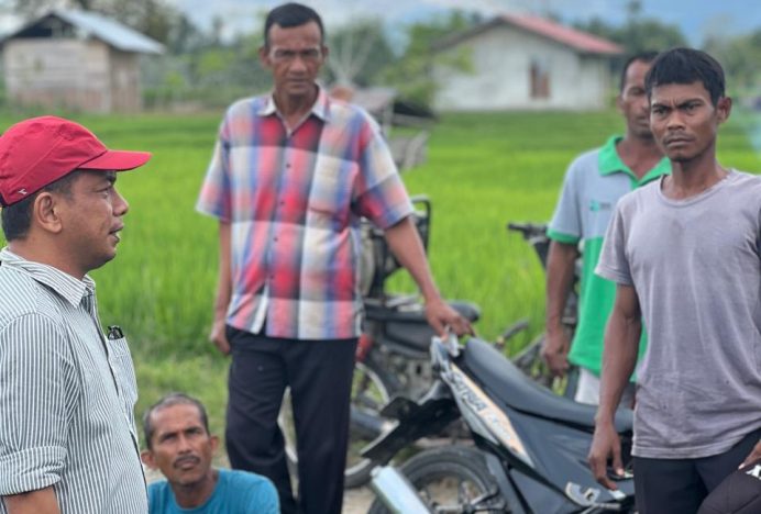 Maksimalkan Program Swasembada Pangan, Wakil DPRK Aceh Besar Dukung Perlindungan Lahan Pertanian