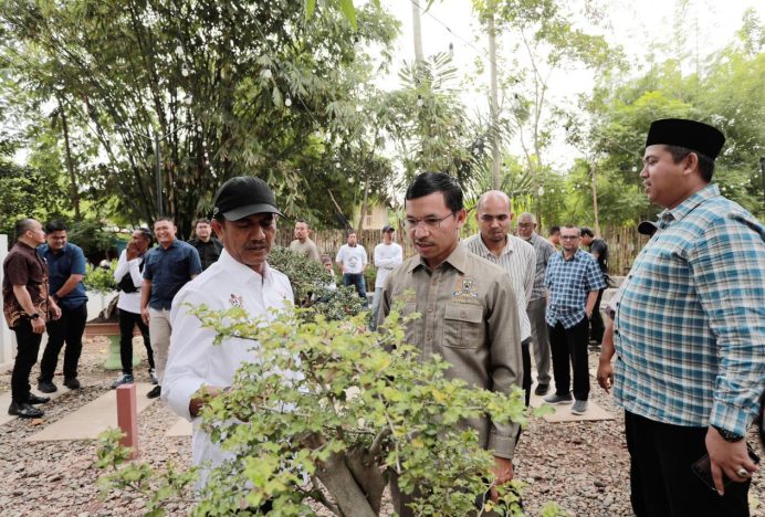 Disnaker Kota Banda Aceh Gelar Pelatihan Berbasis Kompetensi Agribisnis Tanaman Hias Bonsai