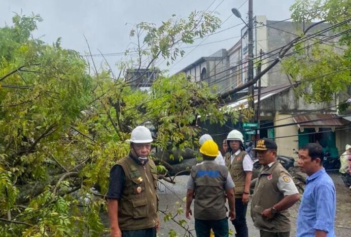 Hujan dan Angin Kencang, BPBD Minta Pengguna Jalan di Kota Banda Aceh Waspada Pohon Tumbang