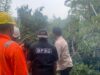 BPBD Banda Aceh Kerahkan 20 Personil Bersihkan Pohon Tumbang
