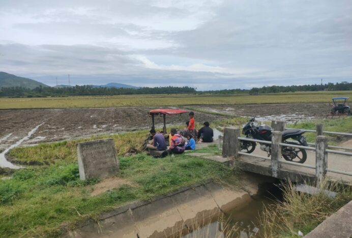 Petani Simpang Tiga Mulai Tahapan Tanam Rendeng Tahun 2024