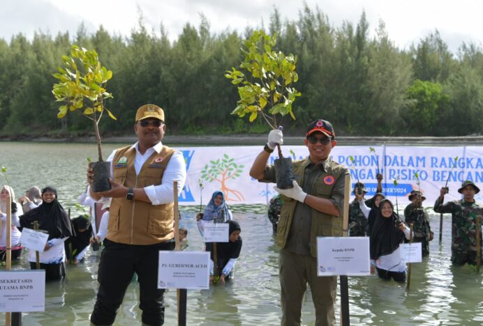 Pj Gubernur Aceh bersama Kepala BNPB Tanam Mangrove di Kuala Cangkoi