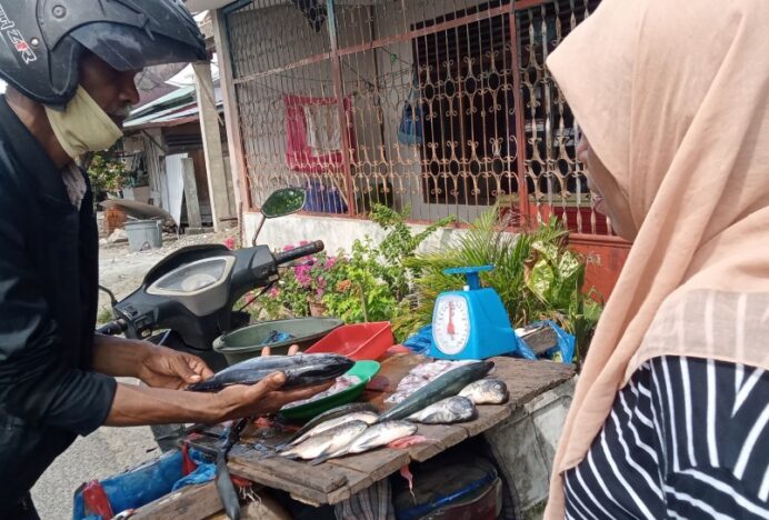 Persediaan Tongkol Meningkat, Harga Murah