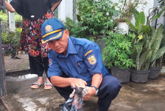 Petugas Damkar Banda Aceh Evakuasi Kucing Terjebak dan Tangani Biawak di Usaha Laundry
