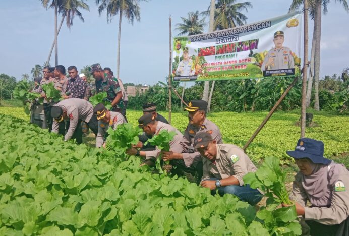 Kapolsek Kuta Baro Dampingi Kapolresta Banda Aceh Panen Ketahanan Pangan