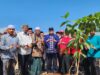 Kemenag Banda Aceh Launching Penanaman Wakaf Produktif, Kakankemenag: Satu Pohon Sejuta Manfaat