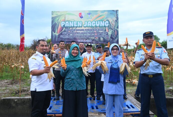 Menjaga Ketahanan Pangan, Pj Bupati Aceh Besar Panen Jagung Dilahan Milik Lanud SIM