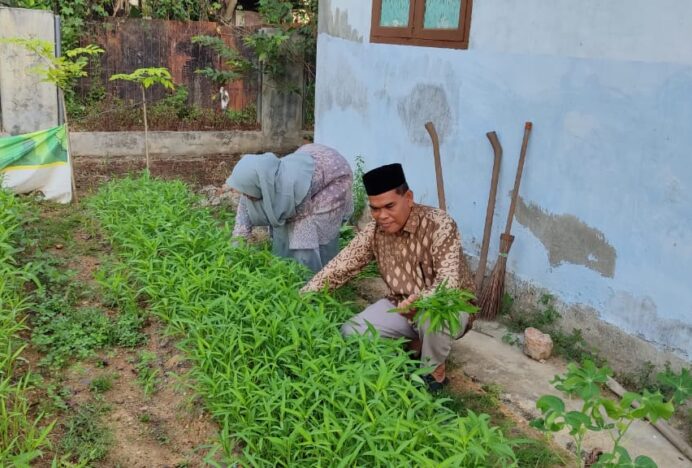 Wujudkan Lingkungan Sehat, MIN 6 Aceh Besar Buat Taman Sayur