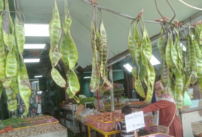 Petai Medan Tetap Banyak Peminat, Ada Penjual di Almahirah dan Lambaro