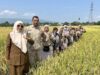 Kabid Penyuluh Distan Aceh Besar: Produktivitas Padi Capai 6,5 Ton/Ha