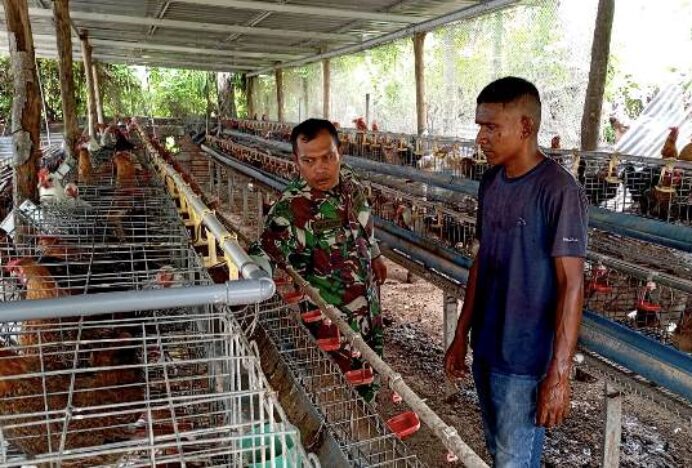 Dukung Ketahanan Ekonomi Desa, Babinsa Lam Isek Kunjungi Peternakan Ayam Warga