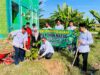 Kemenag Aceh Besar Tanam 500 Pohon Matoa, Dukung Program Ekoteologi