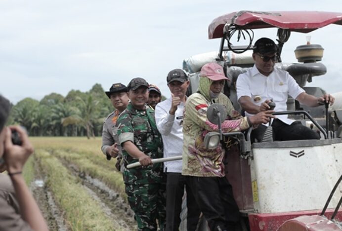 Abdya Ikut Panen Padi Serentak Nasional, Bulog Langsung Tampung Gabah Petani Rp 6.500 Per Kg