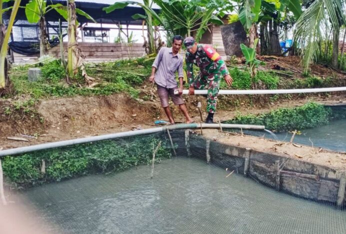 Babinsa Lamsiteh Cot Dukung Ketahanan Pangan Lewat Budidaya Ikan