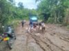 Ringankan Akses Warga, Satgas TMMD ke-124 Kodim 0101/KBA Tambal Pasir Jalan Belubang