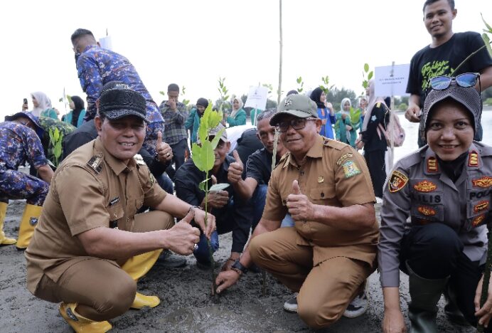 Bupati Aceh Besar Ikut Tanam Manggrove di Kajhu