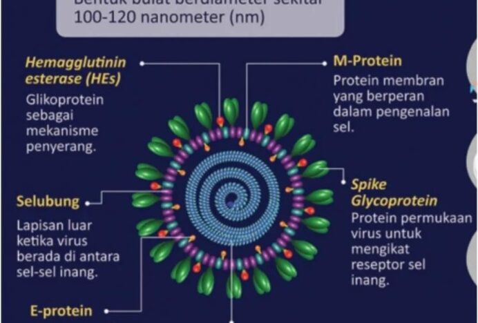 Kemenkes Imbau Jemaah Haji Waspadai Penularan MERS-CoV