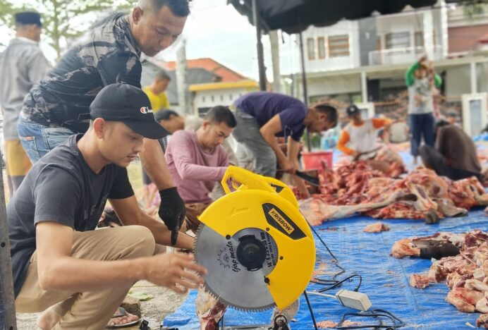 Peringati Idul Adha 1446 H Gampong Tanjong Laksanakan Penyembelihan 23 Ekor Hewan Qurban