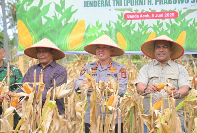 Staf Ahli Hadiri Panen Raya Jagung Kuartal II Serentak
