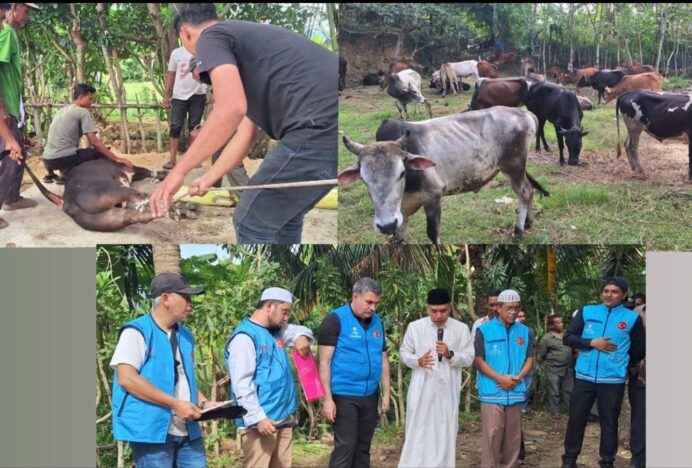 Turki Salurkan 150 Ekor Hewan Kurban untuk Warga Aceh