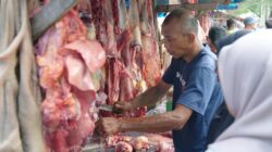 Sabang Potong 43 Ekor Sapi dan 3 Kerbau Meugang Hari Raya Idul Adha