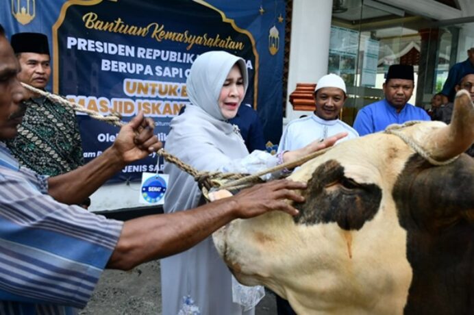 Illiza Pantau Harga Daging dan Sembako Sampai Serahkan Sapi Kurban Bantuan Presiden