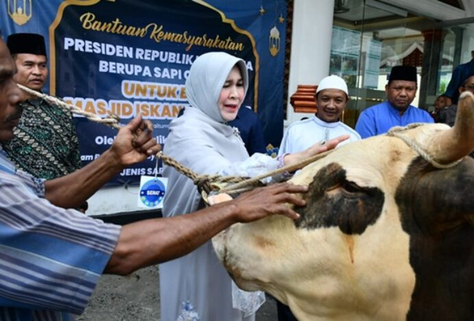 Illiza Pantau Harga Daging dan Sembako Sampai Serahkan Sapi Kurban Bantuan Presiden