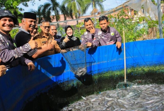 Geuce Komplek Berhasil Budidayakan Ikan Lele dan Anggur, Wali Kota Minta Diikuti Gampong Lain
