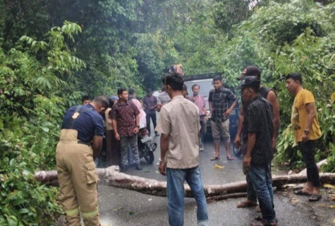 Hujan Deras Disertai Angin Kencang Landa Aceh Besar, BPBD Imbau Masyarakat Waspada