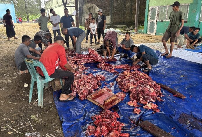 Gampong Luengbata Banda Aceh Potong 40 Ekor Hewan Qurban