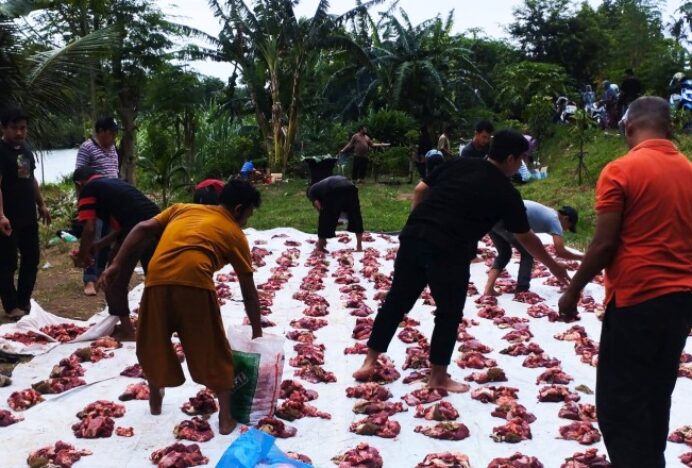 Dusun Surabaya, Ateuk Pahlawan Sembelih 13 Hewan Kurban